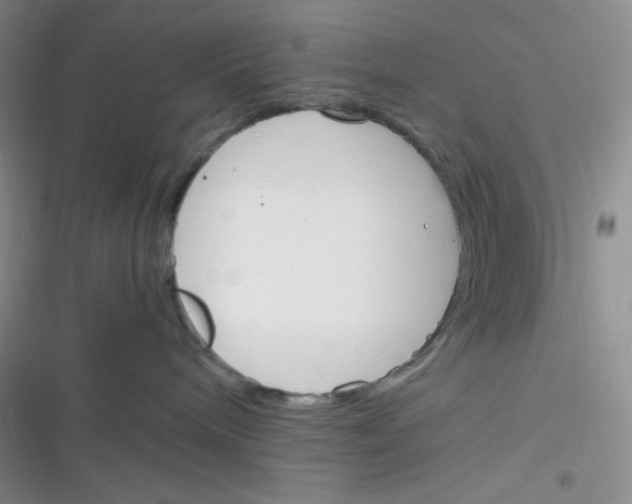 X0000116390240201001131836