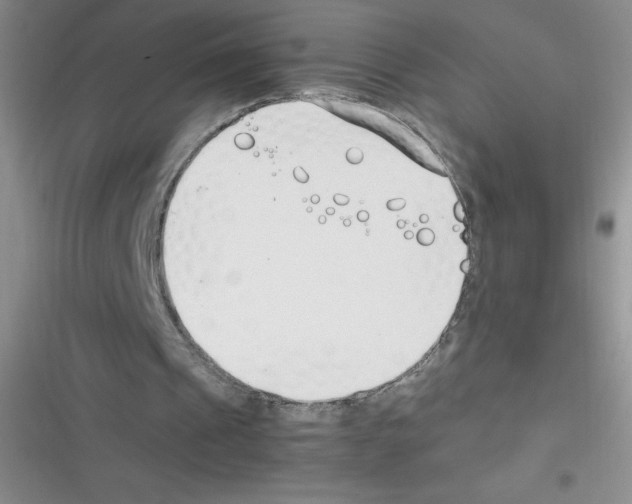 X0000116390241201001131836