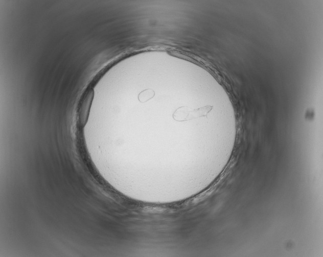 X0000116390242201001131836