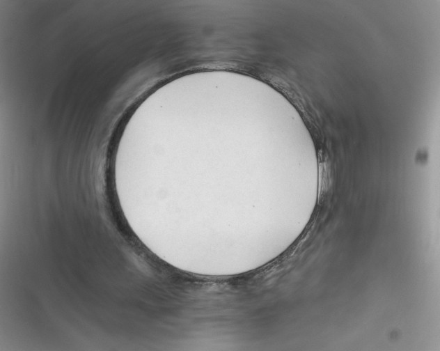 X0000116390243201001131836