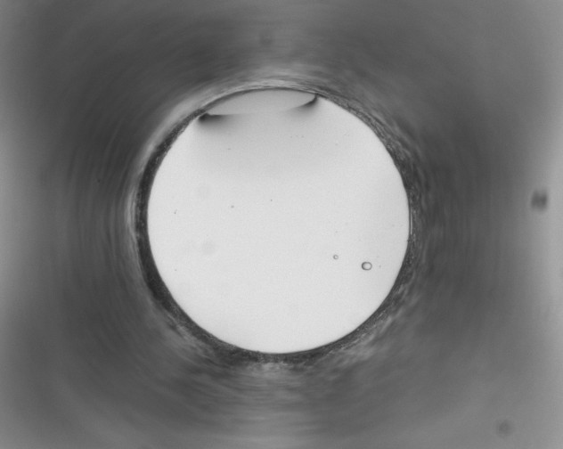 X0000116390244201001131836