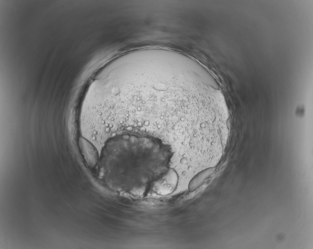 X0000116390245201001131836