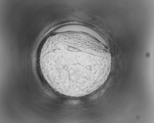 X0000116390247201001131836
