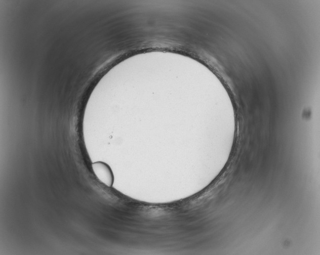 X0000116390249201001131836