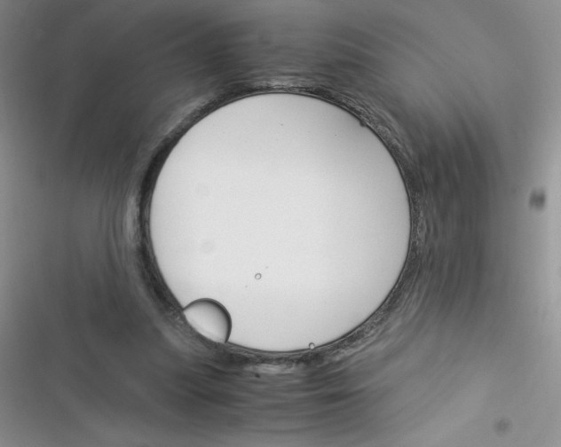 X0000116390251201001131836