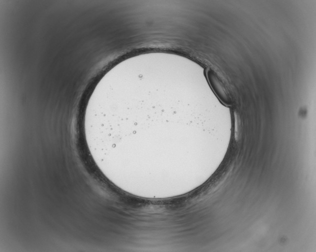 X0000116390252201001131836