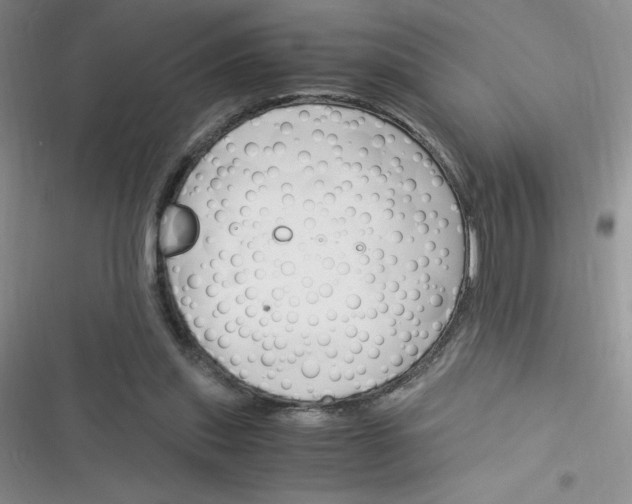 X0000116390253201001131836