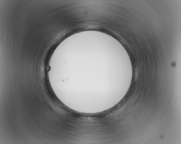X0000116390254201001131836
