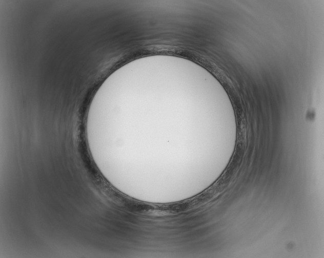 X0000116390255201001131836