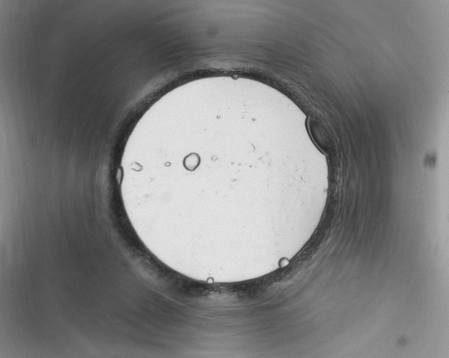 X0000116390256201001131836