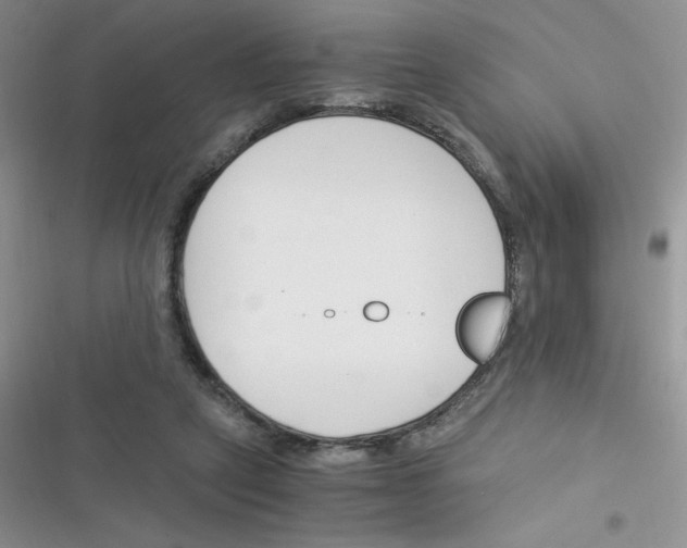 X0000116390257201001131836