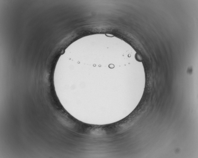 X0000116390258201001131836