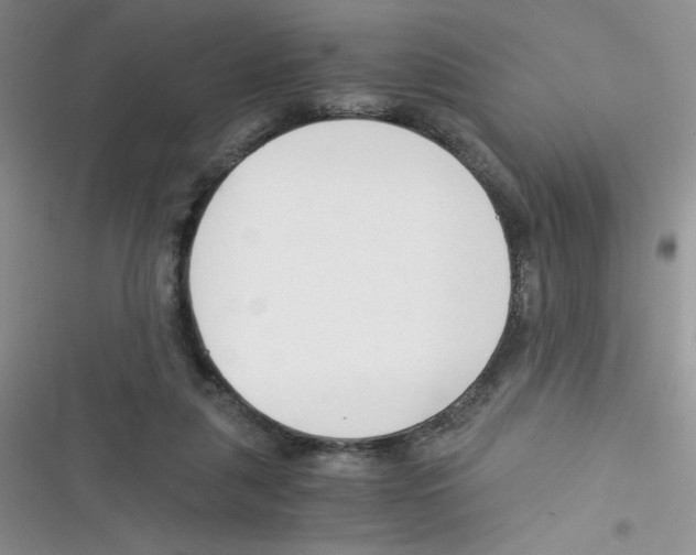 X0000116390259201001131836