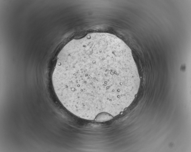 X0000116390260201001131836