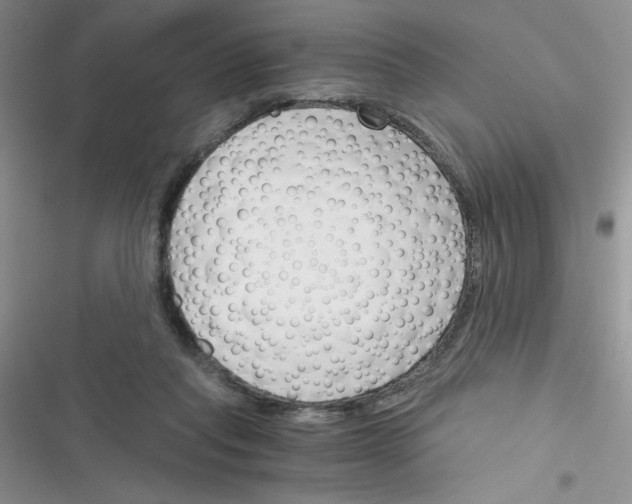 X0000116390261201001131836