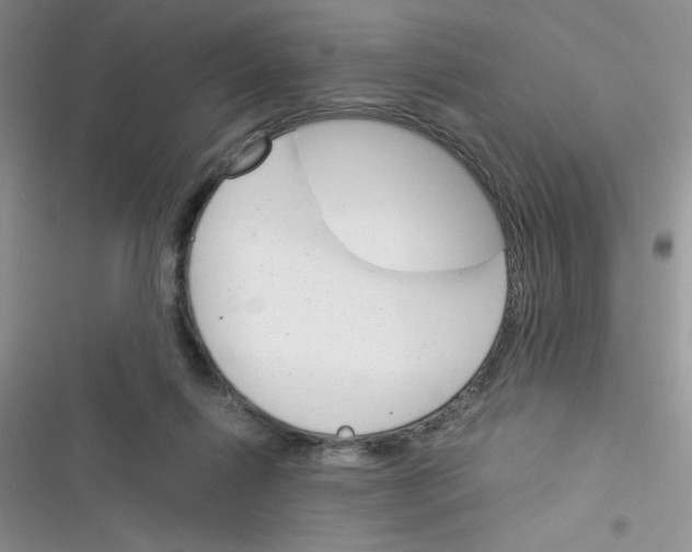 X0000116390262201001131836