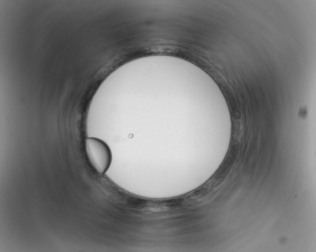 X0000116390263201001131836