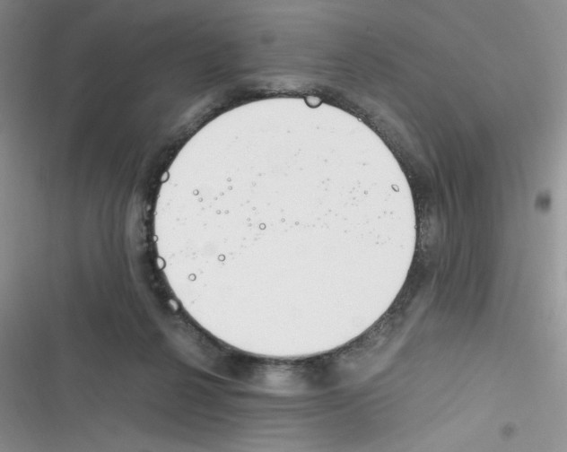 X0000116390264201001131836