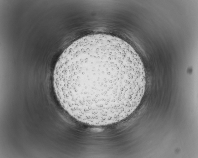 X0000116390265201001131836