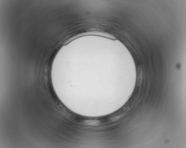 X0000116390266201001131836
