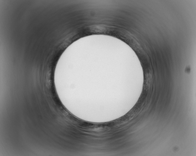 X0000116390267201001131836