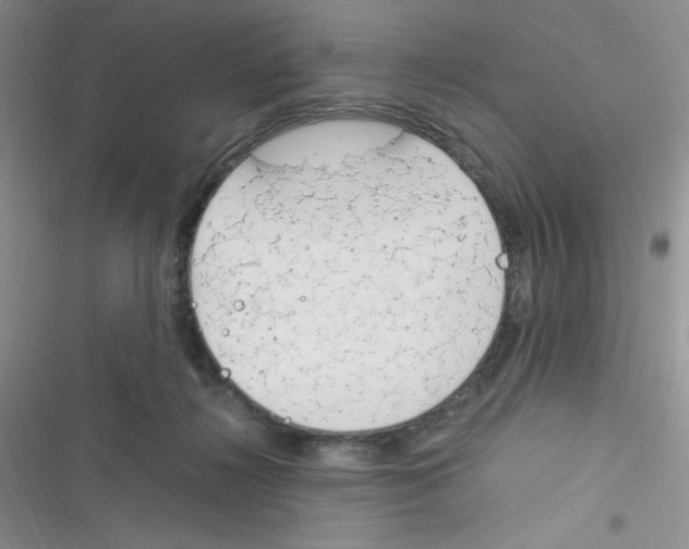 X0000116390268201001131836