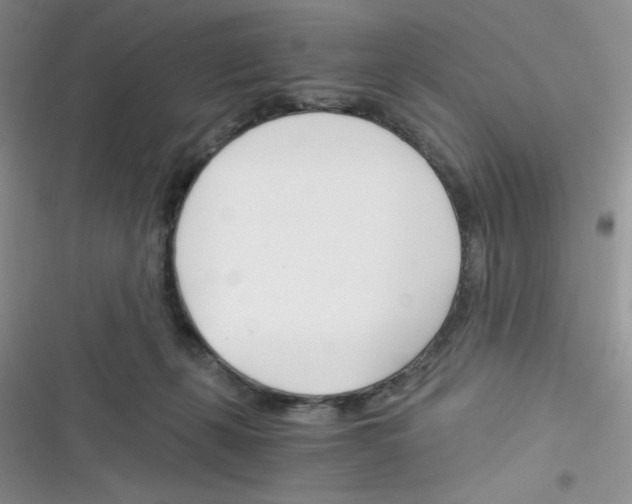 X0000116390271201001131836