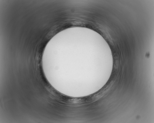 X0000116390273201001131836