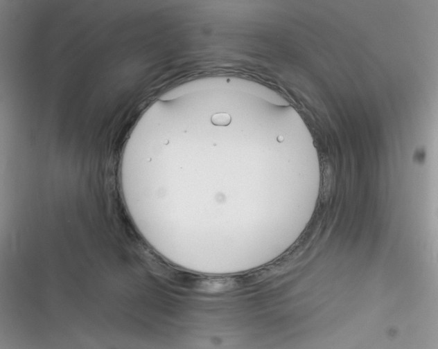 X0000116390274201001131836