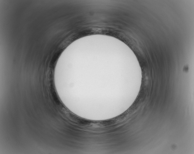 X0000116390275201001131836