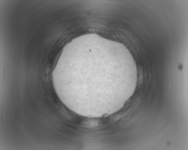 X0000116390276201001131836