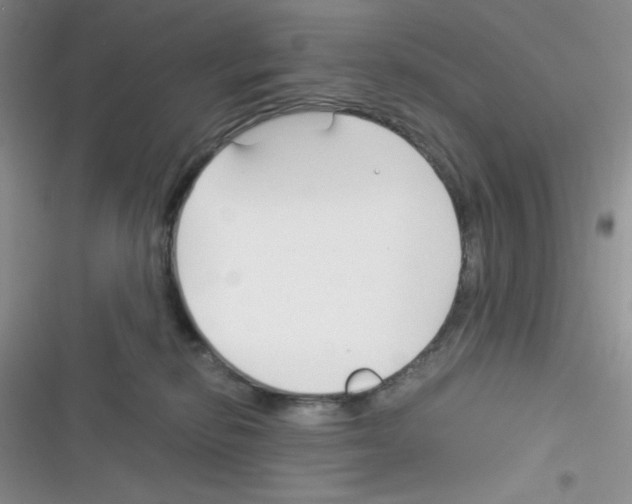 X0000116390278201001131836