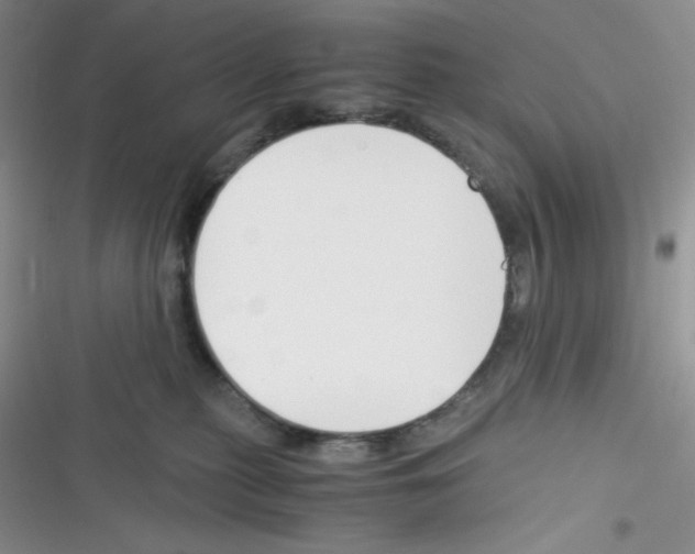 X0000116390279201001131836