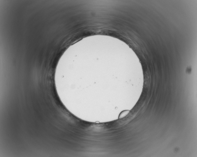X0000116390280201001131836