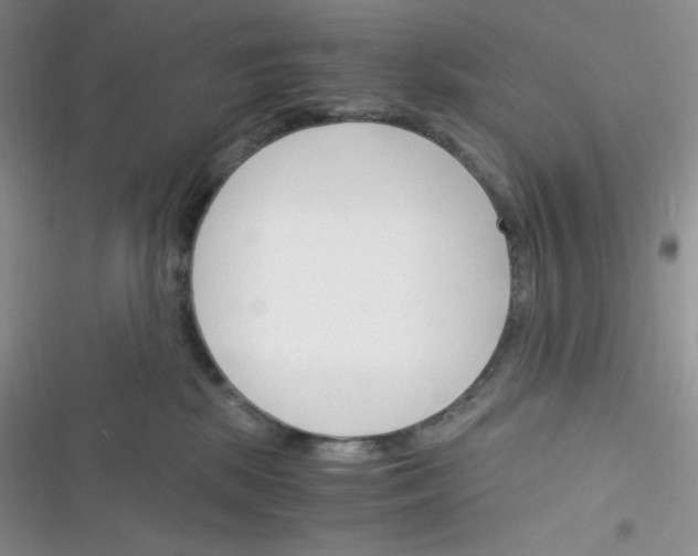 X0000116390281201001131836