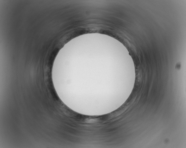 X0000116390283201001131836