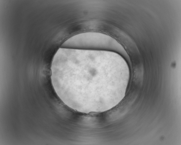 X0000116390284201001131836