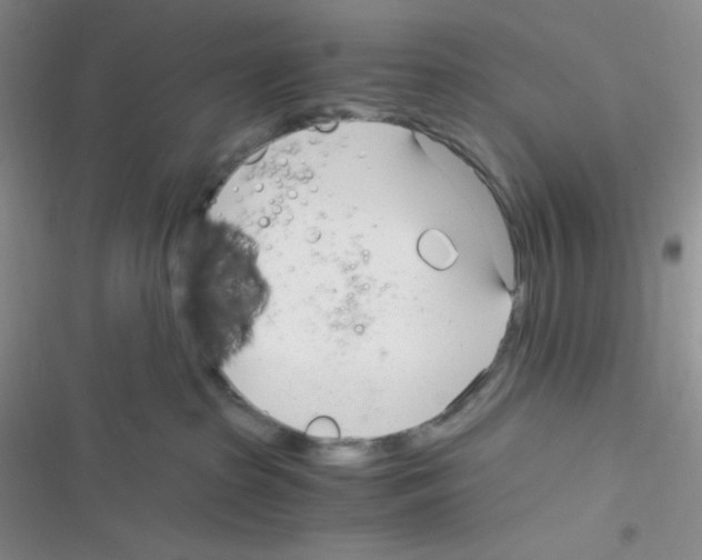 X0000116390285201001131836