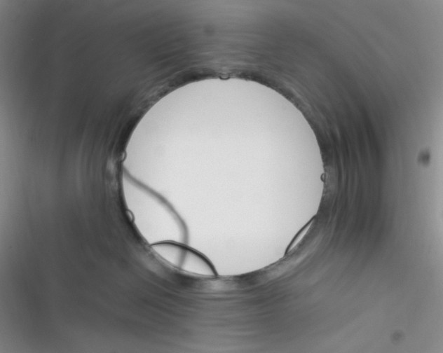 X0000116390286201001131836
