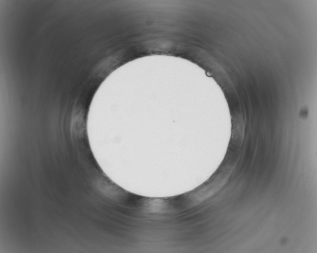 X0000116390287201001131836