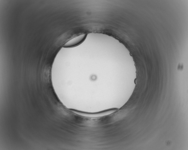 X0000116390288201001131836