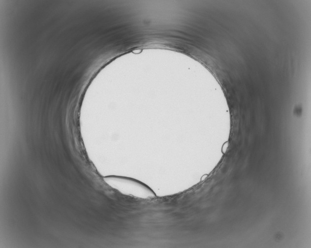X0000116390289201001131836
