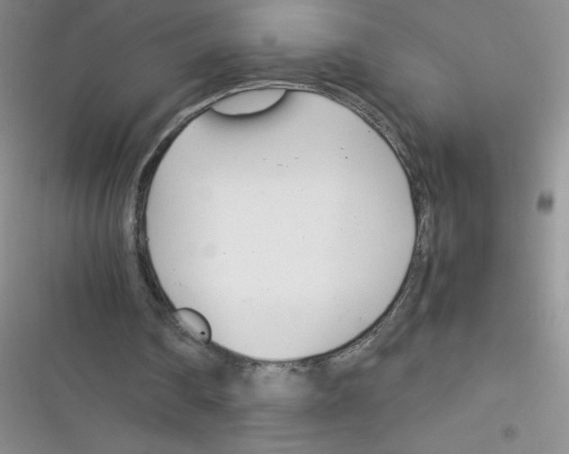 X0000116390290201001131835