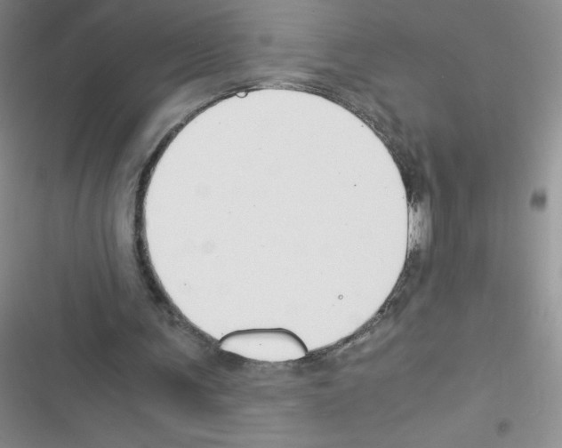 X0000116390291201001131835