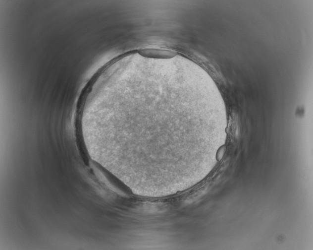 X0000116390292201001131835