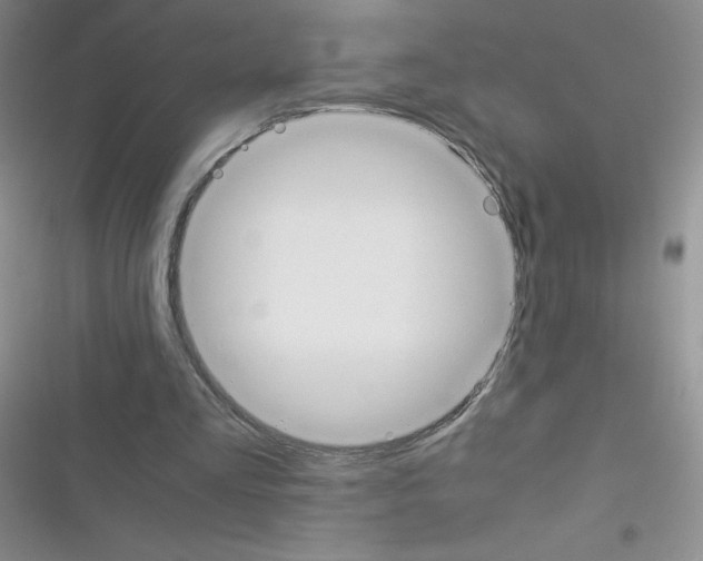 X0000116390293201001131835
