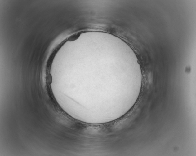 X0000116390294201001131835