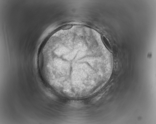 X0000116390296201001131835
