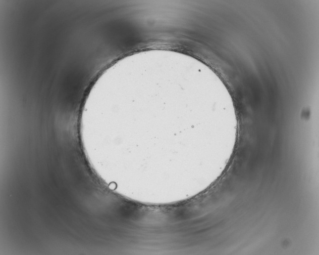 X0000116390297201001131835