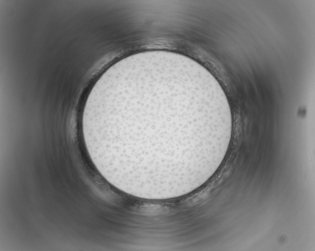 X0000116390298201001131835